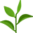 问鼎App：您值得信赖的数字安全伙伴 - 问鼎APP